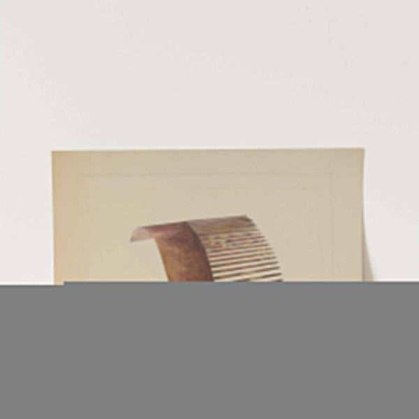Comb (c. 1936) by Edith Magnette