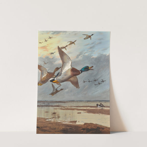 Coming In From The Sea (1905) by Archibald Thorburn