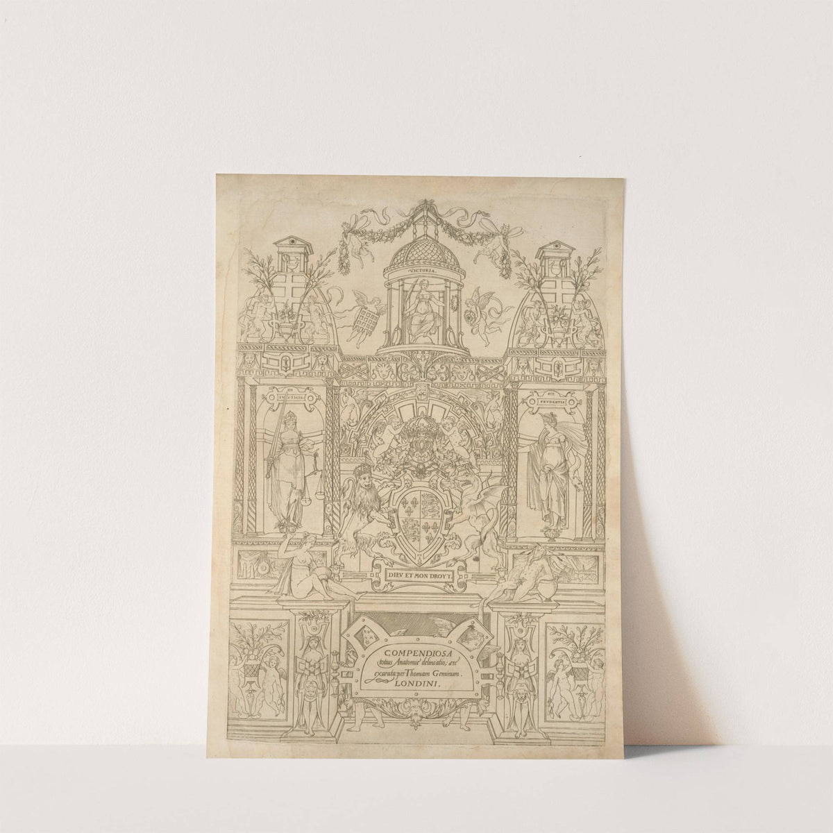 Compendiosa totius anatomie delineatio, ære exarata - Title page by Thomas Geminus