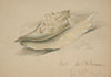Conch Shell