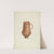 Copper Cruet by Edward Jewett