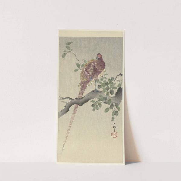 Copper pheasant by Ohara Koson