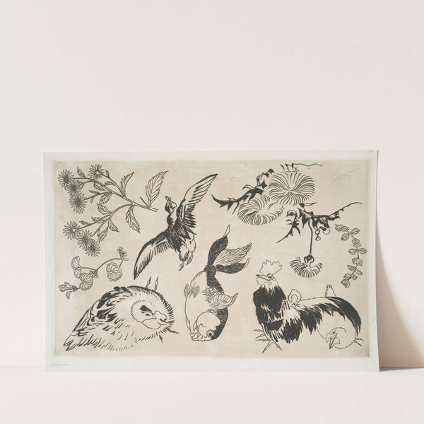 Coq, canard, poisson, plantes (1866) by Félix Bracquemond