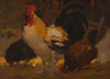 Coq et poules