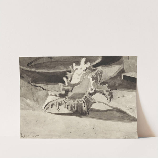 Coquillage (1909) by Léon Spilliaert