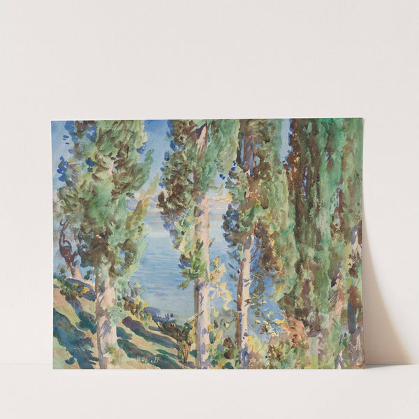 Corfu; Cypresses (1909) by John Singer Sargent
