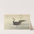 Cormorant with fish (1900 - 1930) by Ohara Koson