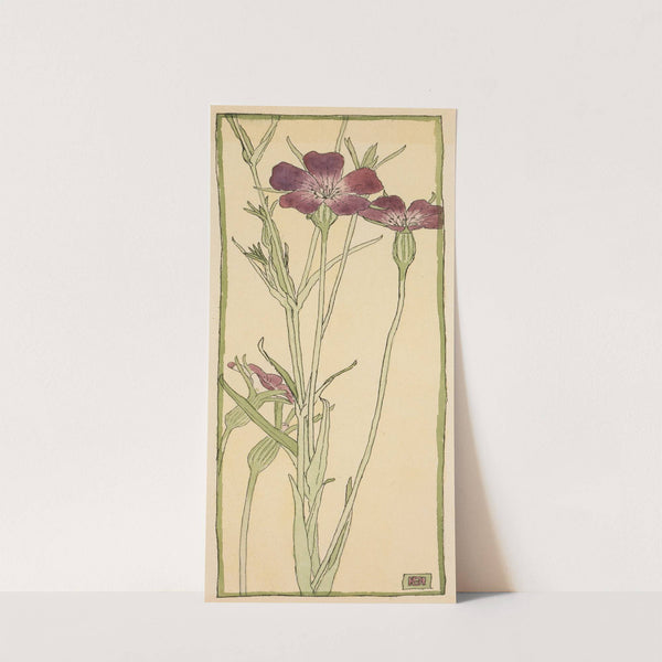 Corn Cockle by Hannah Borger Overbeck