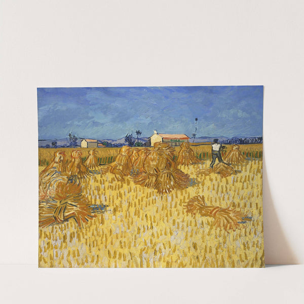 Corn Harvest in Provence by Vincent van Gogh