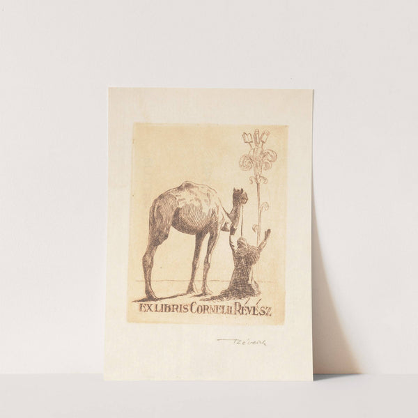 Cornelius Révész by Kornél Révész