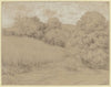 Cornfield at the forest