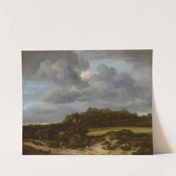 Cornfield (1660s) by Jacob van Ruisdael