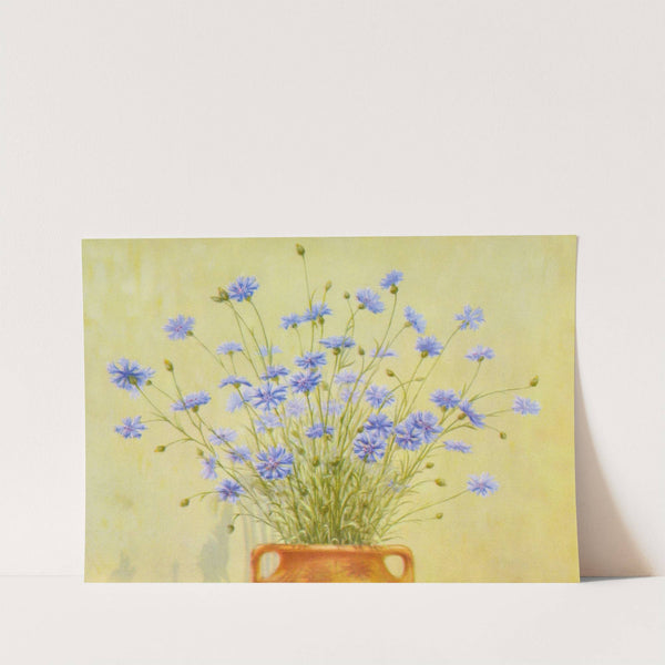 Cornflower by Lafayette F. Cargill