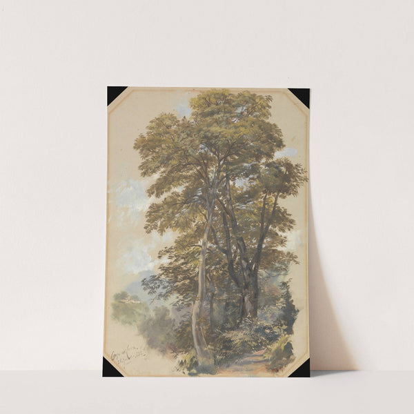 Corpo di Cava, 28 June 1838 by Edward Lear