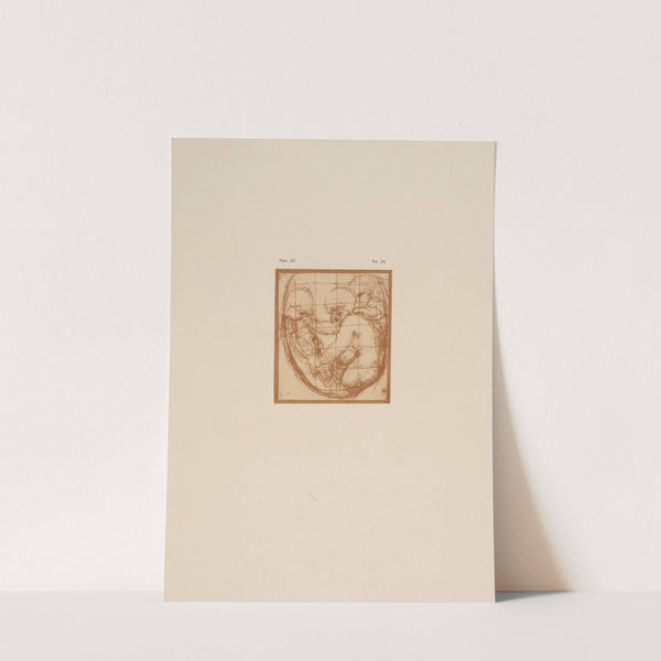 Correggio - Study of group of children by P. & D. Colnaghi