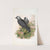 Corvux monedula. Jackdaw. (1862-1873) by John Gould