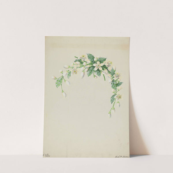 Costume Accessory (Orange Blossoms) by Ruth M. Barnes