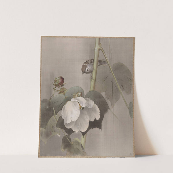 Cotton Rose Mallows in the Rain (ca. 1891–92) by Okada Baison