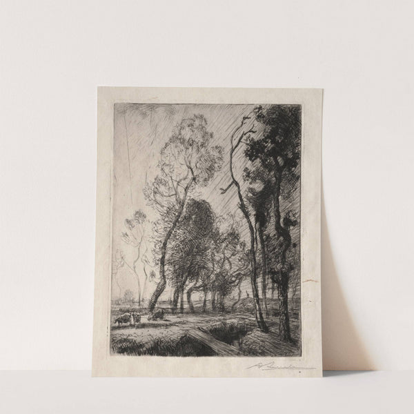 Coucher de Soleil derrière les Arbres (1909) by Auguste Louis Lepère