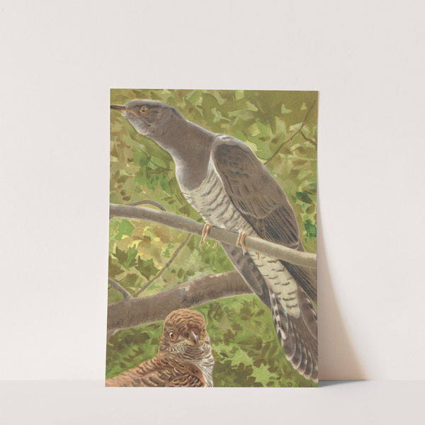 Coucou by Léo-Paul Robert