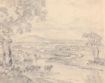 Country landscape with cattle crossing a stream