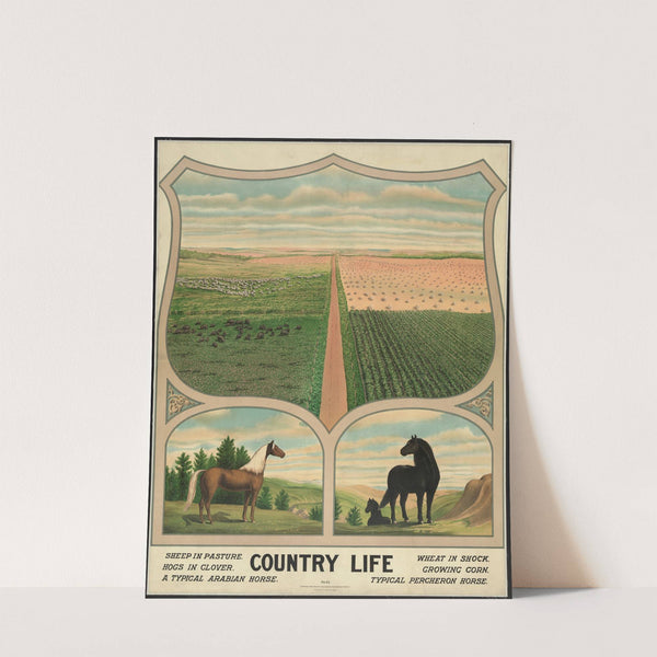 Country life (1904) by Nature & Method Publ. Co.