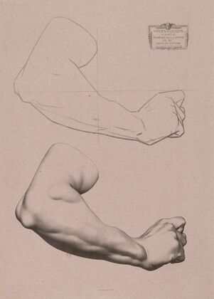 Cours de dessin Pl.24 (1867)
