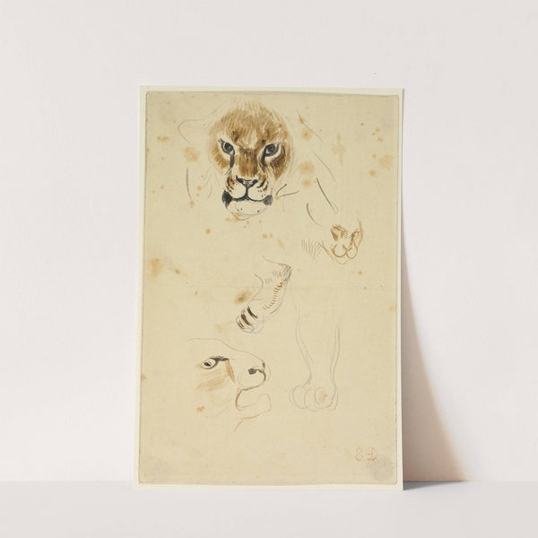 Courtyard with a Fountain by Eugène Delacroix