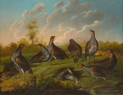 Covey Of Partridges In A Landscape