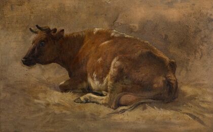 Cow