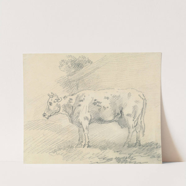 Cow by Sawrey Gilpin