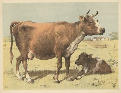 Cow (1892)