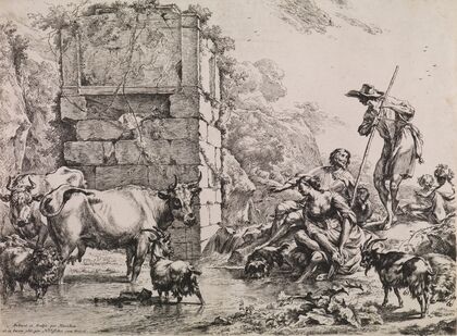 Cow Drinking
