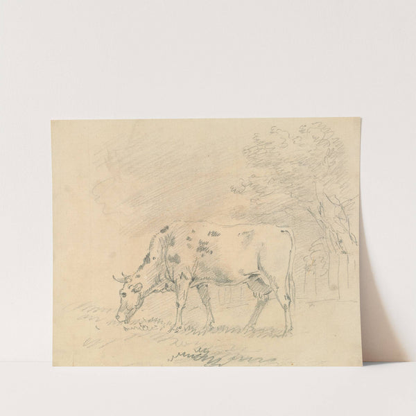 Cow Grazing by Sawrey Gilpin