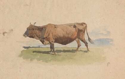 Cow in pasture (1898)