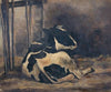 Cow lying down in a cowshed
