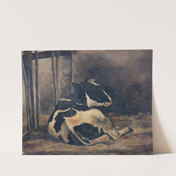 Cow lying down in a cowshed by Floris Verster