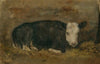 Cow lying in a cowshed