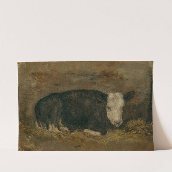 Cow lying in a cowshed by Floris Verster