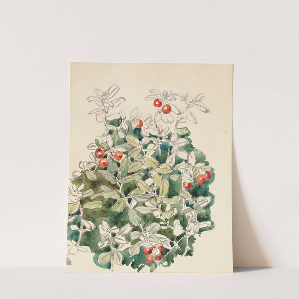 Cowberries by Maria Yakunchikova