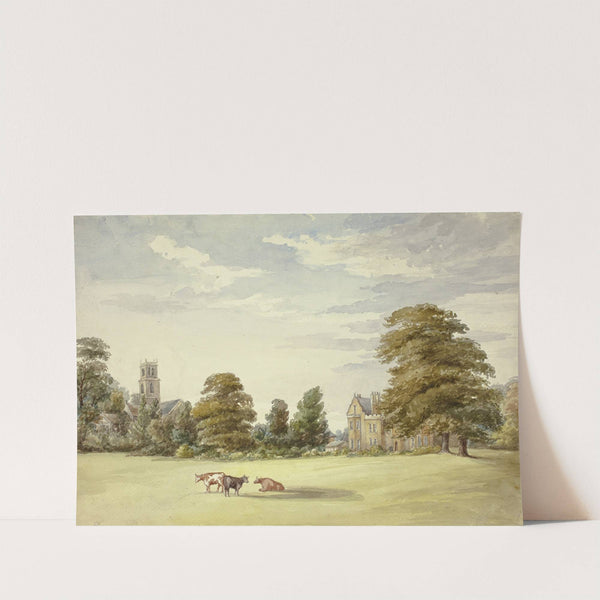 Cows before Manor House and Church by Elizabeth Murray