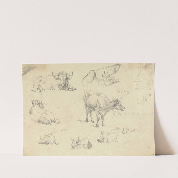 Cows From Various Angles by Robert Hills