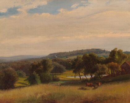 Cows Grazing in a Pasture
