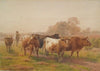 Cows in landscape