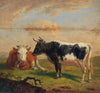 Cows in the Pasture