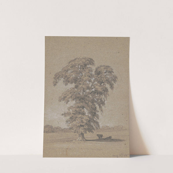 Cows in the shade of a tree (1855) by James Fuller Queen