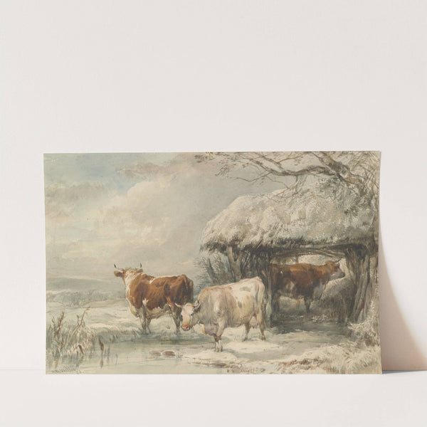 Cows in winter by Henry Willis