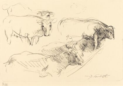 Cows (Kühe)