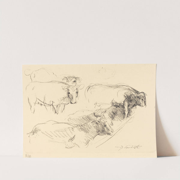 Cows (Kühe) (1910) by Lovis Corinth