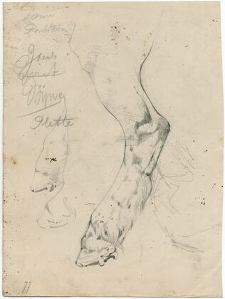 Cow’s paw (1877)